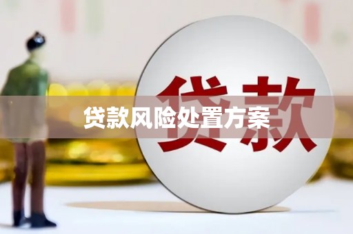 铜陵贷款风险处置方案