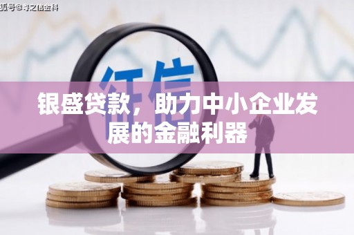 铜陵银盛贷款，助力中小企业发展的金融利器