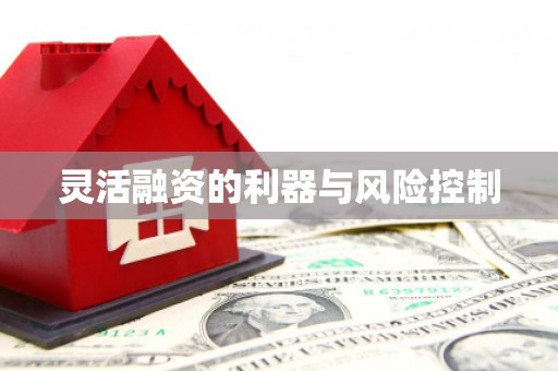铜陵灵活融资的利器与风险控制