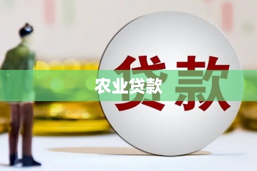 铜陵农业贷款