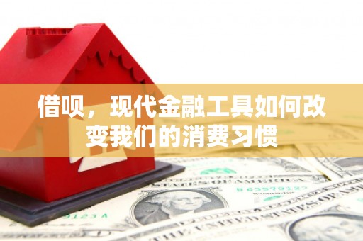 铜陵借呗，现代金融工具如何改变我们的消费习惯