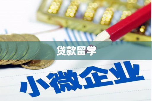 铜陵贷款留学