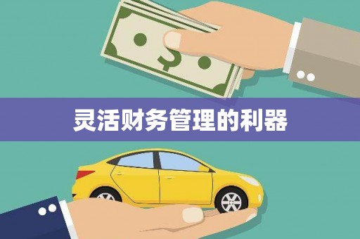 铜陵灵活财务管理的利器