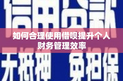 铜陵如何合理使用借呗提升个人财务管理效率