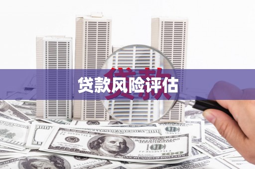 铜陵贷款风险评估