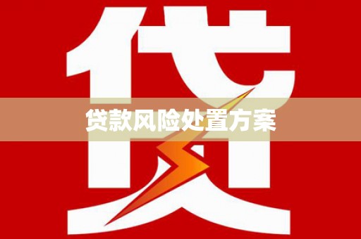 铜陵贷款风险处置方案