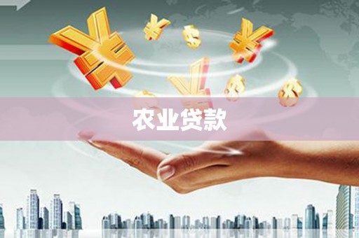 铜陵农业贷款