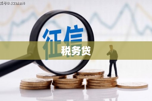 铜陵税务贷