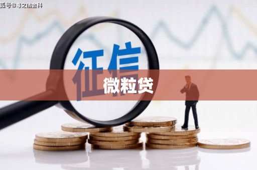 铜陵微粒贷