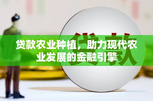 铜陵贷款农业种植，助力现代农业发展的金融引擎