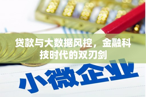 铜陵贷款与大数据风控，金融科技时代的双刃剑