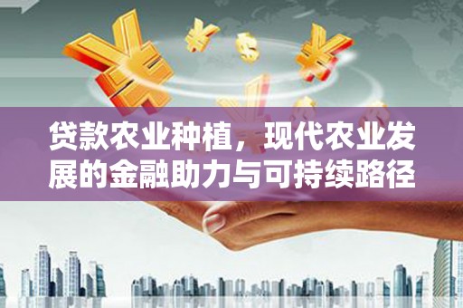 铜陵贷款农业种植，现代农业发展的金融助力与可持续路径