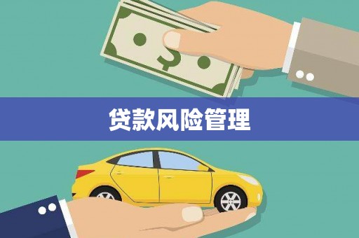 铜陵贷款风险管理