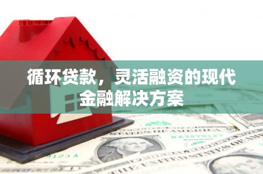 铜陵循环贷款，灵活融资的现代金融解决方案