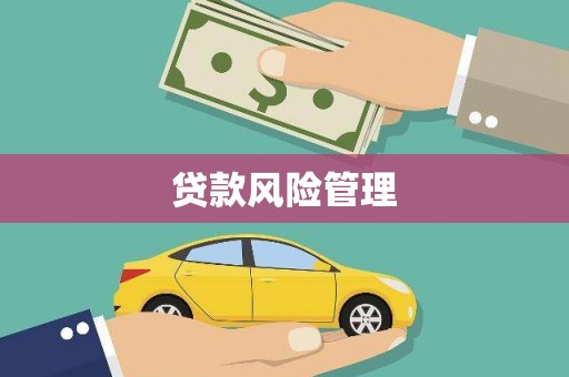 铜陵贷款风险管理