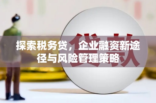 铜陵探索税务贷，企业融资新途径与风险管理策略