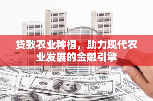 铜陵贷款农业种植，助力现代农业发展的金融引擎