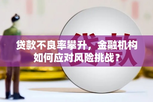 铜陵贷款不良率攀升，金融机构如何应对风险挑战？