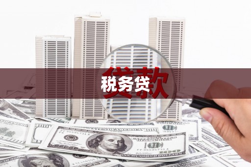 铜陵税务贷