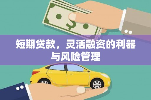 铜陵短期贷款，灵活融资的利器与风险管理