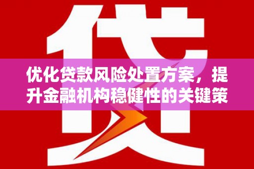 铜陵优化贷款风险处置方案，提升金融机构稳健性的关键策略