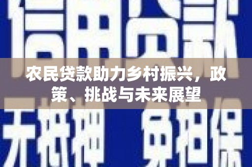 铜陵农民贷款助力乡村振兴，政策、挑战与未来展望