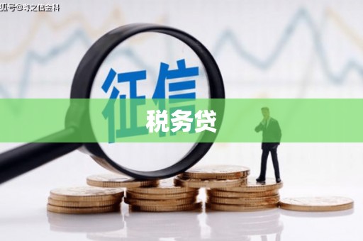 铜陵税务贷