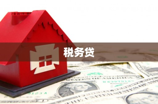 铜陵税务贷