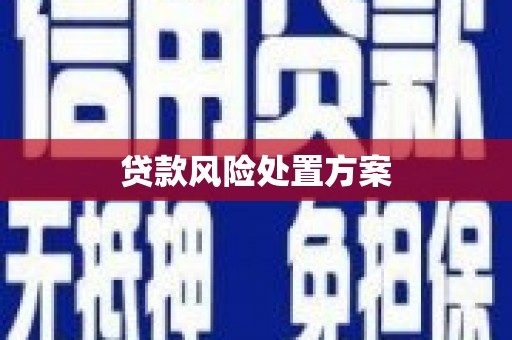 铜陵贷款风险处置方案