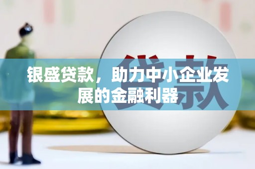 铜陵银盛贷款，助力中小企业发展的金融利器