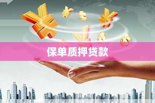 铜陵保单质押贷款