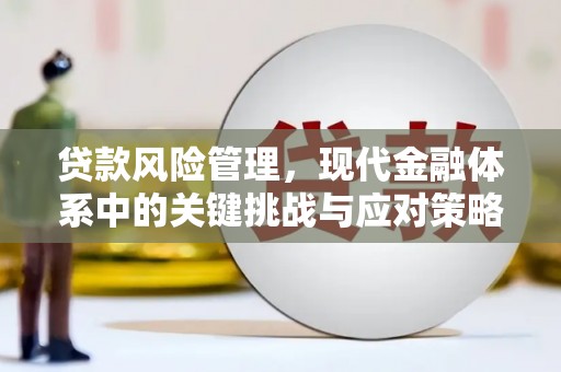 铜陵贷款风险管理，现代金融体系中的关键挑战与应对策略