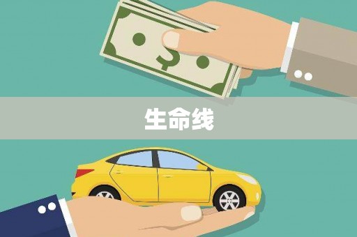 铜陵生命线