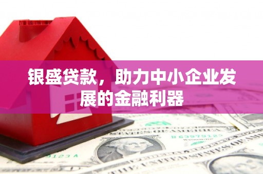 铜陵银盛贷款，助力中小企业发展的金融利器