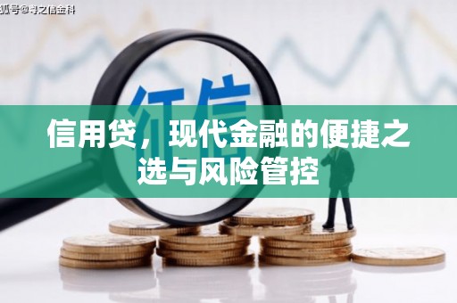 铜陵信用贷，现代金融的便捷之选与风险管控