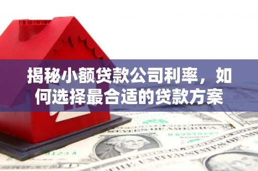 铜陵揭秘小额贷款公司利率，如何选择最合适的贷款方案