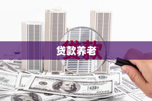 铜陵贷款养老