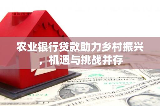 铜陵农业银行贷款助力乡村振兴，机遇与挑战并存