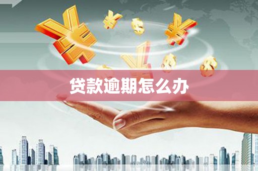 铜陵贷款逾期怎么办