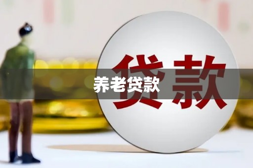 铜陵养老贷款