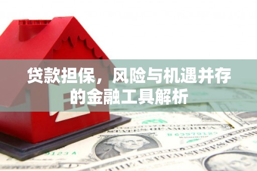 铜陵贷款担保，风险与机遇并存的金融工具解析