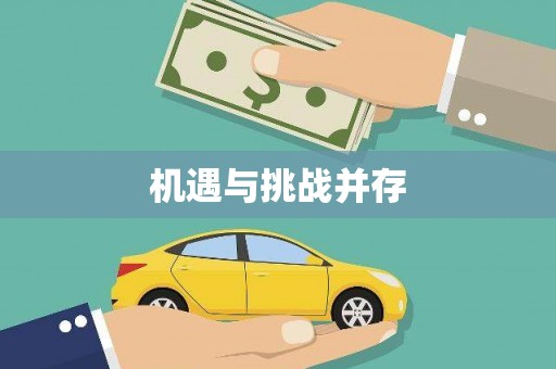 铜陵机遇与挑战并存 铜陵机遇与挑战并存