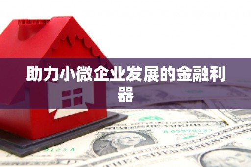 铜陵助力小微企业发展的金融利器