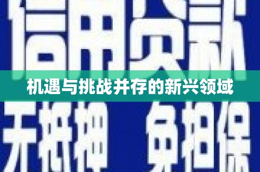 铜陵机遇与挑战并存的新兴领域
