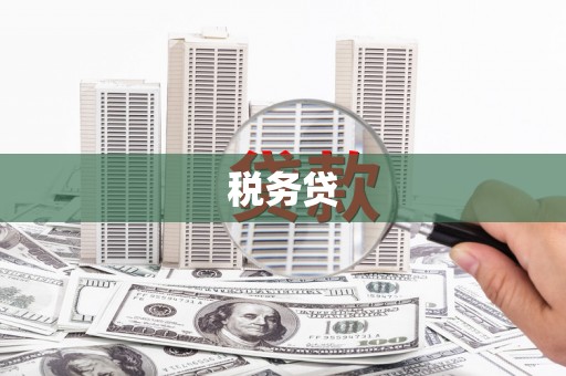 铜陵税务贷