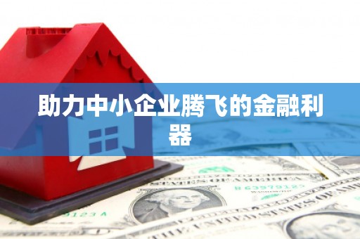 铜陵助力中小企业腾飞的金融利器