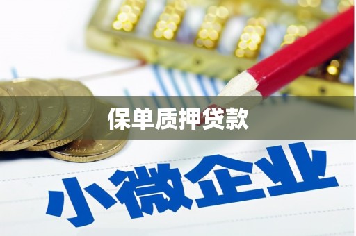 铜陵保单质押贷款