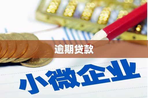 铜陵逾期贷款