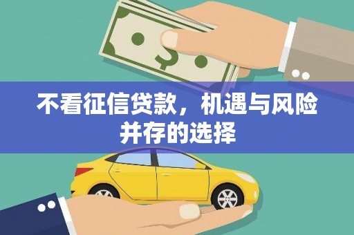 铜陵不看征信贷款，机遇与风险并存的选择