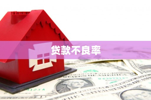 铜陵贷款不良率